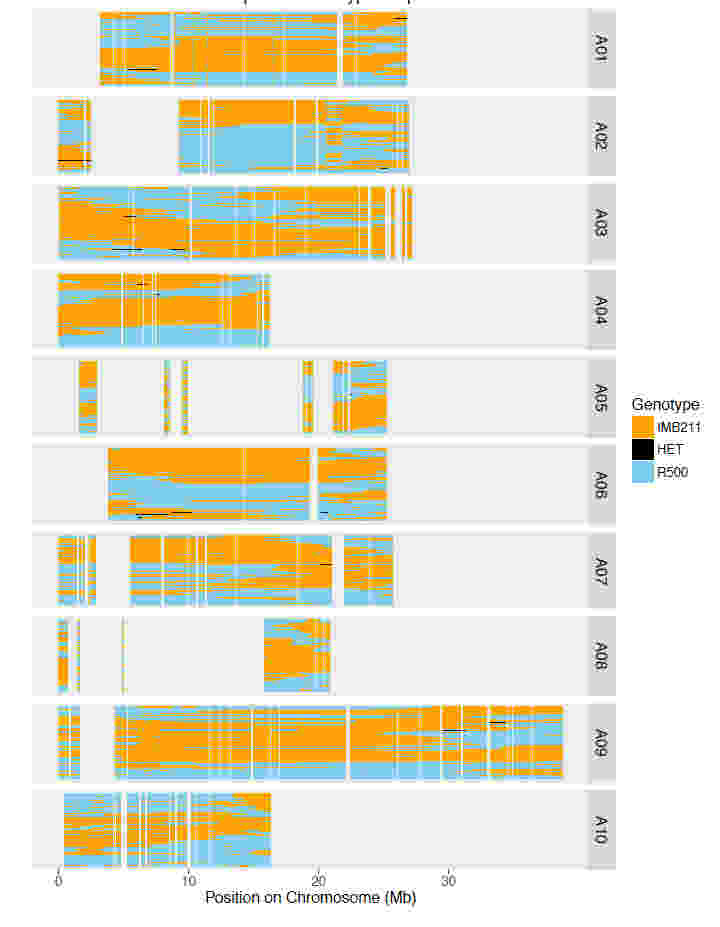 使用RNA-seq進行基因組支架放置,校正裝配和遺傳圖譜創(chuàng)建