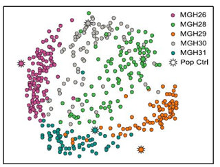 使用RNA-seq進行基因組支架放置,校正裝配和遺傳圖譜創(chuàng)建