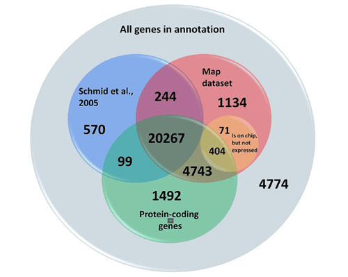 基于RNA-seq譜分析擬南芥發育轉錄組的高分辨率圖譜